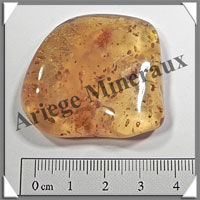 AMBRE (Thermites) - 43x47 mm - 12 grammes - A004