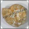 AMMONITE Fossile - 111 grammes - 25x65x60 mm - M001 Madagascar