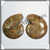 NAUTILE Fossile - 143 grammes - 22x84x60 mm - R007 Madagascar