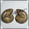NAUTILE Fossile - 166 grammes - 35x70x60 mm - R009 Madagascar
