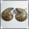 NAUTILE Fossile - 320 grammes - 55x85x65 mm - R015 Madagascar
