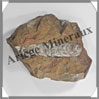 ORTHOCERAS Fossile - 930 grammes - 35x115x135 mm - B001 Maroc