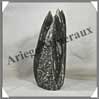 ORTHOCERAS Fossile - 1750 grammes - 80x210x70 mm - C001 Maroc