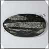 ORTHOCERAS Fossile - 170 grammes - 60x110 mm - M002 Maroc