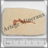 POISSON Fossile (Dastilbe Elongatus) - 44x67 mm - 43 grammes - M016 Brésil