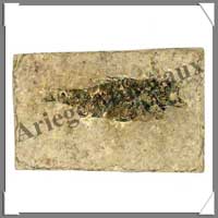 POISSON Fossile - 18 g - C017