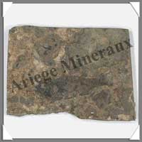 POISSON Fossile - 36 g - C024