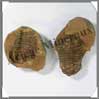 TRILOBITE Fossile - 121 grammes - 50x75 mm - M009 Maroc