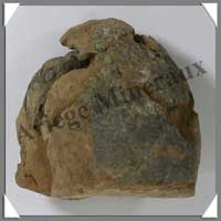 TRILOBITE Fossile - 127 grammes - 50x60 mm - M010