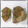 TRILOBITE Fossile - 181 grammes - 35x80 mm - M012 Maroc