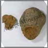 TRILOBITE Fossile - 183 grammes - 55x75 mm - M014 Maroc