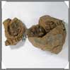TRILOBITE Fossile - 467 grammes - 65x105 mm - M015 Maroc
