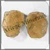 TRILOBITE Fossile - 800 grammes - 75x110 mm - M016 Maroc