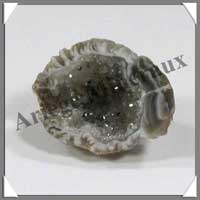 (w:150g)GEODINOS - [Taille 1] - 10 � 20 gr