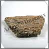 MUSCOVITE Dore - [Taille 2] - 60  120 gr Brsil