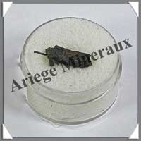 Mtorite de GIBEON - 2 grammes - 1 Fragment de 14 mm - M012