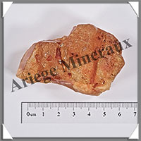 AMBRE (Naturel) - 40 grammes - 65x40x35 mm - A021