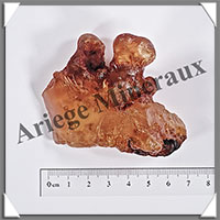 AMBRE (Naturel) - 62 grammes - 75x55x50 mm - A025