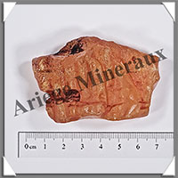 AMBRE (Naturel) - 38 grammes - 65x40x30 mm - A028