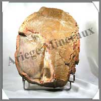 BOIS Fossilis - FOUGERE - 300x220x60 mm - 5950 grammes - M003