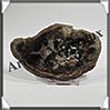 BOIS Fossilisé - CONIFERE - 115x75x10 mm - 200 grammes - Y005 Madagascar