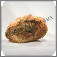 BOIS Fossilis - FOUGERE - 140x95x60 mm - 1030 grammes - M002