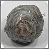 AGATE D'EAU - 135 grammes - 55 mm - A040