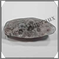 AGATE D'EAU - 43 grammes - 65 mm - A050