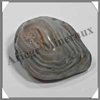 AGATE D'EAU - 30 grammes - 45 mm - A056