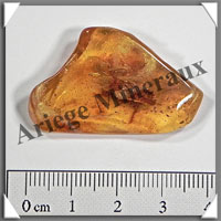 AMBRE (Diptre) - 25x40 mm - 5 grammes - L001
