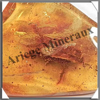 AMBRE (Diptre) - 25x40 mm - 5 grammes - L001