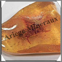 AMBRE (Diptre) - 25x40 mm - 5 grammes - L001