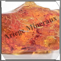 AMBRE (Nematocera) - 25x35 mm - 6 grammes - L002