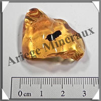 AMBRE (Dbris Vgtal) - 25x30 mm - 6 grammes - L003
