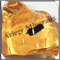 AMBRE (Dbris Vgtal) - 25x30 mm - 6 grammes - L003