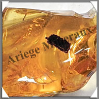 AMBRE (Dbris Vgtal) - 25x30 mm - 6 grammes - L003