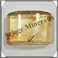 AMBRE (Diptre) - 8x13 mm - 1 gramme - M001