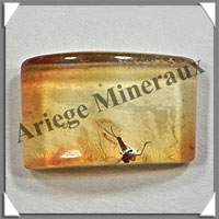 AMBRE (Diptre) - 8x13 mm - 1 gramme - M002
