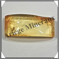 AMBRE (Diptre) - 8x13 mm - 1 gramme - M004