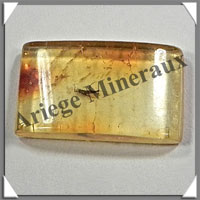 AMBRE (Diptre) - 8x13 mm - 1 gramme - M005
