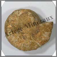 AMMONITE Fossile - 210 grammes - 25x80x70 mm - M002