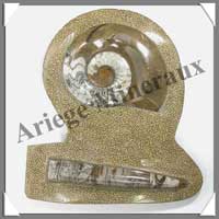 NAUTILE Fossile - 1840 grammes - 195x240 mm - M004