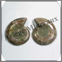 NAUTILE Fossile - 130 grammes - 35x69x53 mm - R001