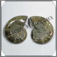 NAUTILE Fossile - 126 grammes - 29x65x49 mm - R003