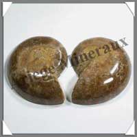 NAUTILE Fossile - 192 grammes - 38x75x60 mm - R008