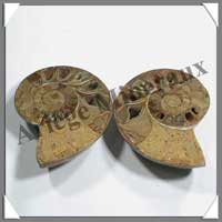 NAUTILE Fossile - 192 grammes - 38x75x60 mm - R008