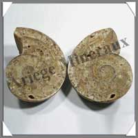 NAUTILE Fossile - 353 grammes - 68x85x65 mm - R012