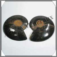NAUTILE Fossile - 227 grammes - 16x95x75 mm - R013
