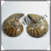 NAUTILE Fossile - 320 grammes - 55x85x65 mm - R015