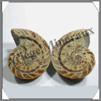 NAUTILE Fossile - 320 grammes - 55x85x65 mm - R015